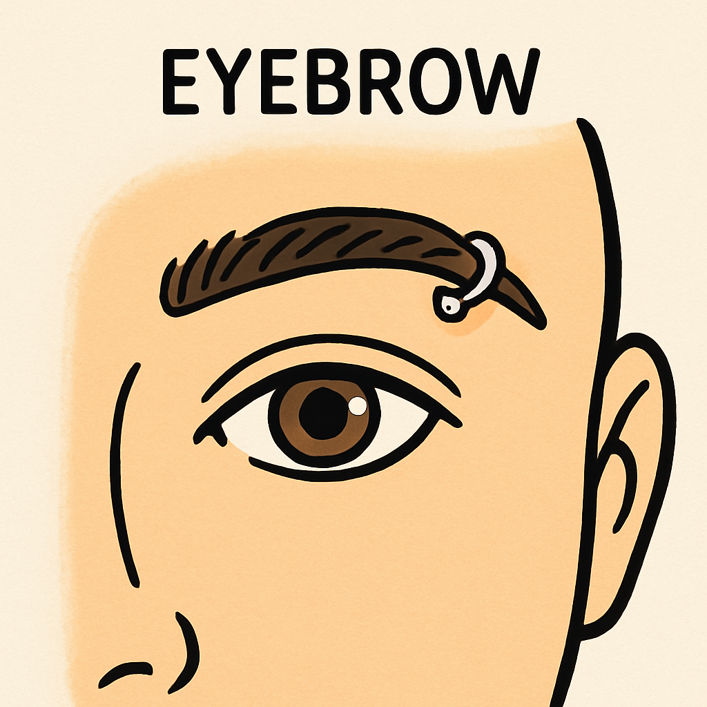 Eyebrow