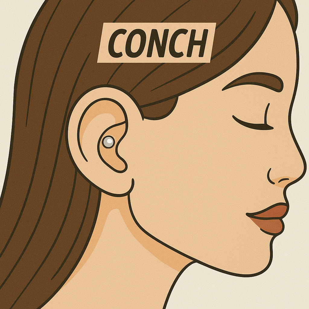 Conch