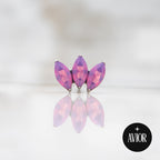 Nakit - Ljubičasti lotus + šipkica - Titan